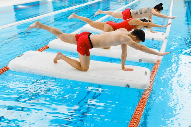 Dorzonmenta transformacja